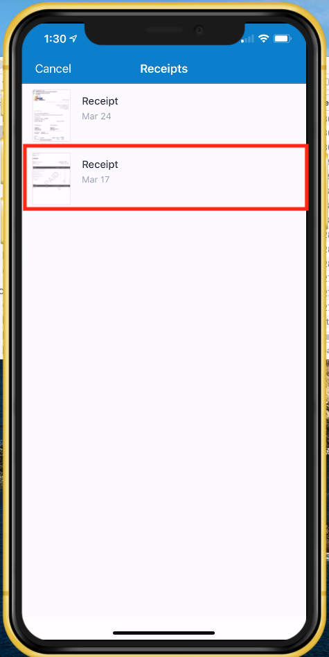 mceclip27.png